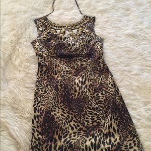 Sexy Satin Leopard Dress